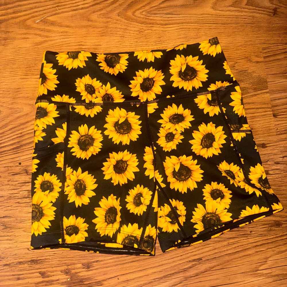 CVG sunflower